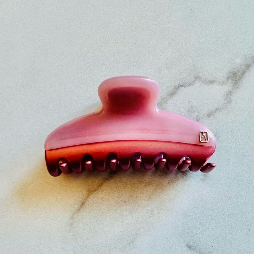 (Sold) Alexandre de Paris - Medium Jaw Hair Clip